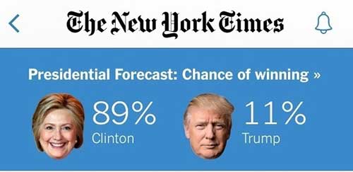 nytimes election odds