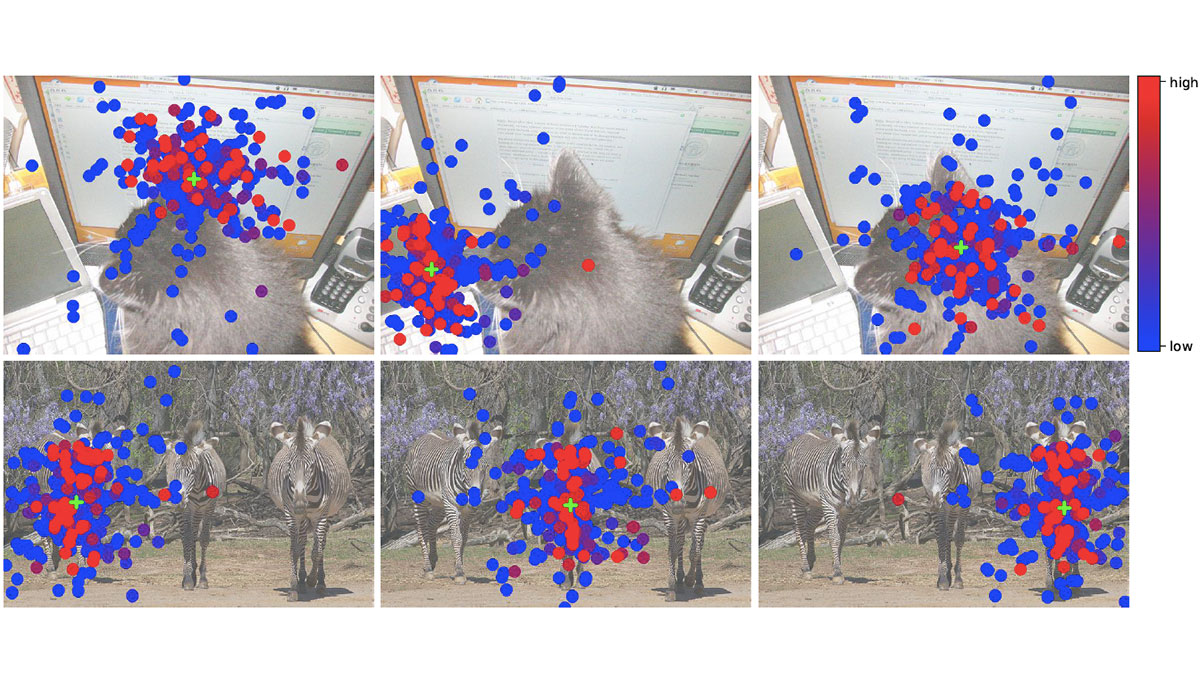 Iclr 2024 openreview