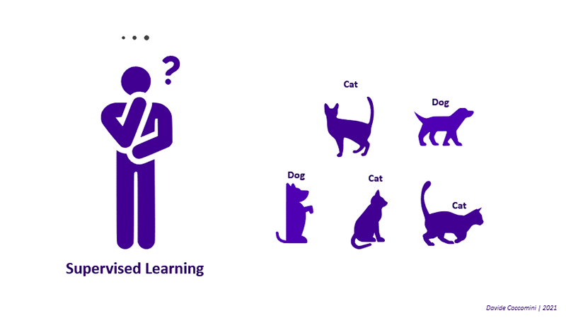 Self Supervised Learning In Vision Transformers LaptrinhX News