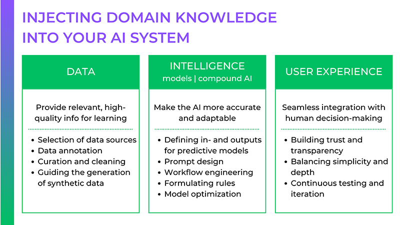 domain expertise AI